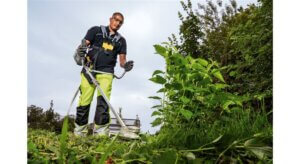 best tool for clearing thick vegetation