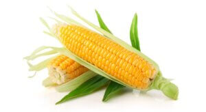 The Importance of Maize